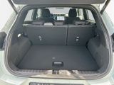 Ford Puma bei Gebrauchtwagen.expert - Abbildung (9 / 15)