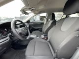 Skoda Octavia bei Gebrauchtwagen.expert - Abbildung (14 / 15)