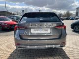 Skoda Octavia bei Gebrauchtwagen.expert - Abbildung (5 / 15)