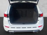 Cupra Ateca bei Gebrauchtwagen.expert - Abbildung (6 / 15)