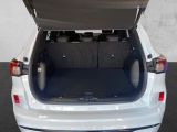 Ford Kuga bei Gebrauchtwagen.expert - Abbildung (6 / 15)