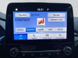 Ford Fiesta bei Gebrauchtwagen.expert - Abbildung (14 / 15)