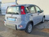 Fiat Panda bei Gebrauchtwagen.expert - Abbildung (3 / 15) Fiat Panda bei Gebrauchtwagen.expert - Abbildung (3 / 15)