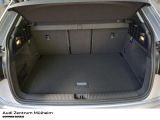 Audi Q2 bei Gebrauchtwagen.expert - Abbildung (9 / 15)