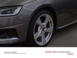 Audi A4 bei Gebrauchtwagen.expert - Abbildung (10 / 15) Audi A4 bei Gebrauchtwagen.expert - Abbildung (10 / 15)