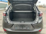 Mazda CX-3 bei Gebrauchtwagen.expert - Abbildung (11 / 15)