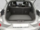 Ford Puma bei Gebrauchtwagen.expert - Abbildung (5 / 15)