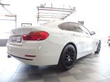 BMW 4er bei Gebrauchtwagen.expert - Abbildung (6 / 15)