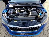 Skoda Scala bei Gebrauchtwagen.expert - Abbildung (15 / 15)