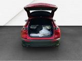 Mazda CX-30 bei Gebrauchtwagen.expert - Abbildung (12 / 15)