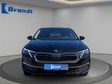 Skoda Octavia bei Gebrauchtwagen.expert - Abbildung (5 / 15)
