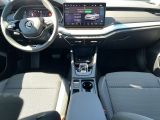 Skoda Octavia bei Gebrauchtwagen.expert - Abbildung (9 / 15)