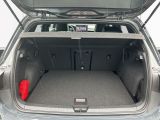 VW Golf VIII bei Gebrauchtwagen.expert - Abbildung (12 / 15)