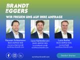 Audi A4 bei Gebrauchtwagen.expert - Abbildung (11 / 15) Audi A4 bei Gebrauchtwagen.expert - Abbildung (11 / 15)