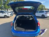 Ford Focus Turnier bei Gebrauchtwagen.expert - Abbildung (10 / 15)