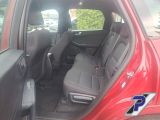 Ford Kuga bei Gebrauchtwagen.expert - Abbildung (13 / 15)