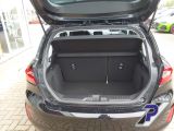 Ford Fiesta bei Gebrauchtwagen.expert - Abbildung (10 / 15)