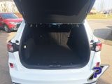 Ford Kuga bei Gebrauchtwagen.expert - Abbildung (11 / 15)