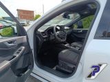 Ford Kuga bei Gebrauchtwagen.expert - Abbildung (12 / 15)
