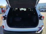 Ford Kuga bei Gebrauchtwagen.expert - Abbildung (10 / 15)