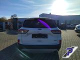 Ford Kuga bei Gebrauchtwagen.expert - Abbildung (4 / 15)