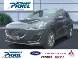 Ford Kuga bei Gebrauchtwagen.expert - Abbildung (2 / 15)
