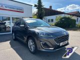 Ford Kuga bei Gebrauchtwagen.expert - Abbildung (7 / 15) Ford Kuga bei Gebrauchtwagen.expert - Abbildung (7 / 15)