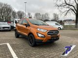 Ford EcoSport bei Gebrauchtwagen.expert - Abbildung (7 / 15)