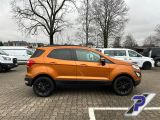 Ford EcoSport bei Gebrauchtwagen.expert - Abbildung (6 / 15)