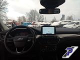 Ford Kuga bei Gebrauchtwagen.expert - Abbildung (15 / 15) Ford Kuga bei Gebrauchtwagen.expert - Abbildung (15 / 15)