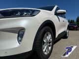 Ford Kuga bei Gebrauchtwagen.expert - Abbildung (9 / 15)