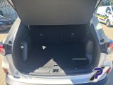 Ford Kuga bei Gebrauchtwagen.expert - Abbildung (10 / 15)