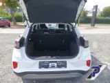 Ford Puma bei Gebrauchtwagen.expert - Abbildung (10 / 15)