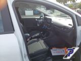 Ford Puma bei Gebrauchtwagen.expert - Abbildung (14 / 15)