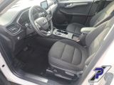 Ford Kuga bei Gebrauchtwagen.expert - Abbildung (11 / 15)