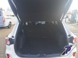 Ford Kuga bei Gebrauchtwagen.expert - Abbildung (10 / 15)