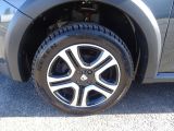 Dacia Sandero bei Gebrauchtwagen.expert - Abbildung (15 / 15)