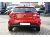 Kia Rio bei Gebrauchtwagen.expert - Abbildung (6 / 15)