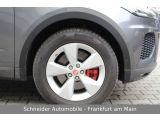 Jaguar E-Pace bei Gebrauchtwagen.expert - Abbildung (4 / 15)