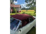 Cadillac DeVille bei Gebrauchtwagen.expert - Abbildung (14 / 15)