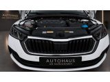 Skoda Octavia bei Gebrauchtwagen.expert - Abbildung (11 / 15) Skoda Octavia bei Gebrauchtwagen.expert - Abbildung (11 / 15)