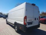Fiat Ducato bei Gebrauchtwagen.expert - Abbildung (8 / 15)