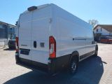 Fiat Ducato bei Gebrauchtwagen.expert - Abbildung (6 / 15)
