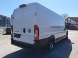 Fiat Ducato bei Gebrauchtwagen.expert - Abbildung (6 / 15)