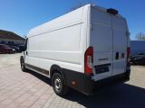 Fiat Ducato bei Gebrauchtwagen.expert - Abbildung (8 / 15)