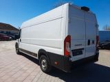 Fiat Ducato bei Gebrauchtwagen.expert - Abbildung (8 / 15) Fiat Ducato bei Gebrauchtwagen.expert - Abbildung (8 / 15)