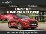 Ford Focus ST bei Gebrauchtwagen.expert - Abbildung (6 / 15) Ford Focus ST bei Gebrauchtwagen.expert - Abbildung (6 / 15)