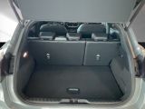 Ford Puma bei Gebrauchtwagen.expert - Abbildung (14 / 15)
