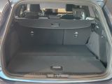 Ford Focus ST bei Gebrauchtwagen.expert - Abbildung (13 / 15)