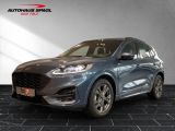 Ford Kuga bei Gebrauchtwagen.expert - Abbildung (2 / 15)